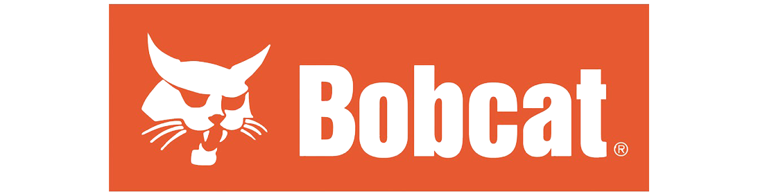Bobcat